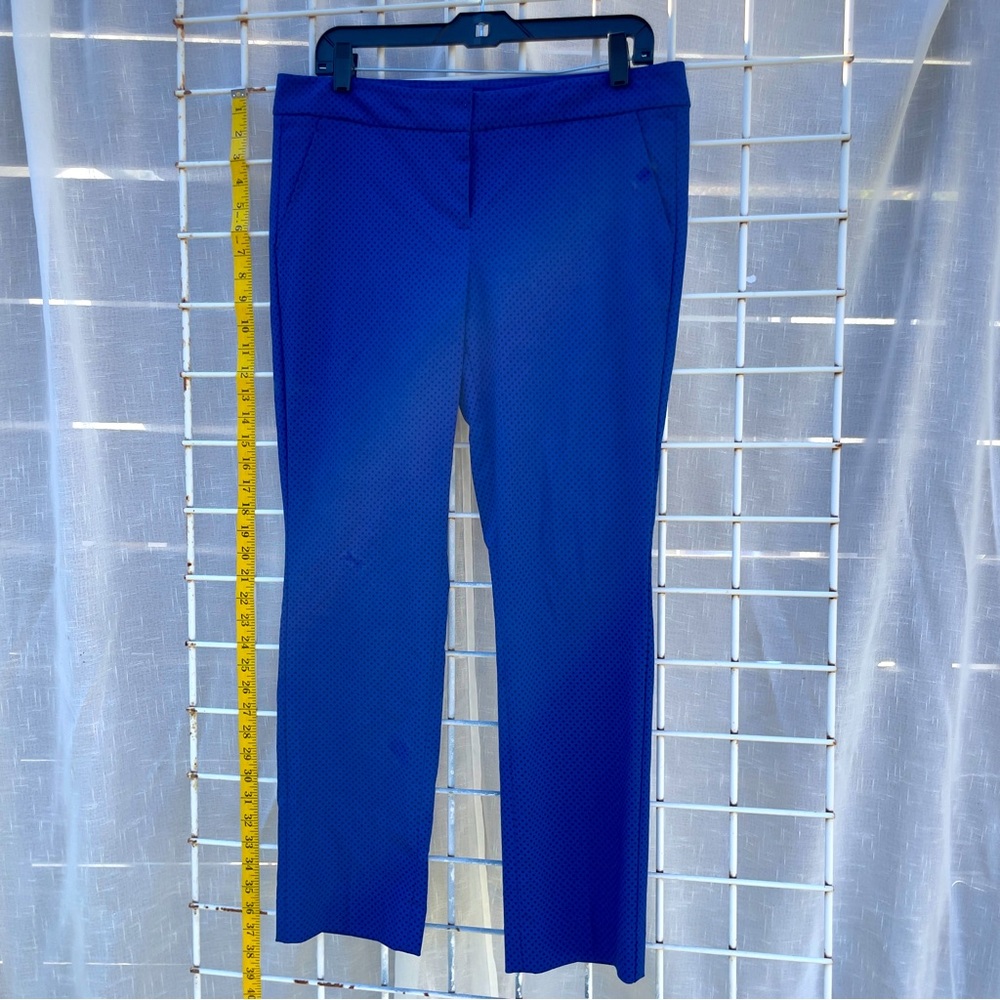 The Limited pants. Size 8r. Royal Blue with black polka dots.